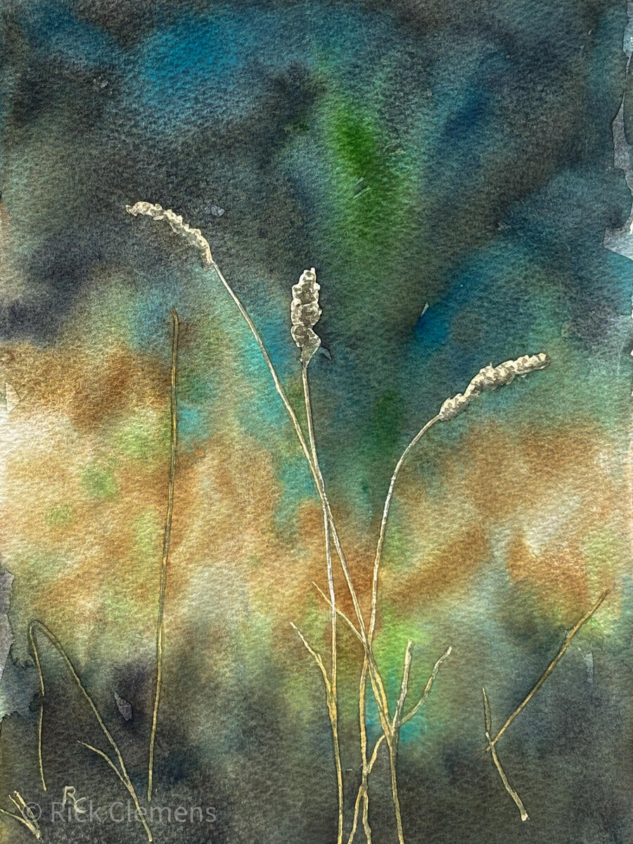 Wild Grasses "Wild Grasses" – original watercolor painting of dried wild grass seedheads against a richly layered background of deep teal, amber, and green, by Rick Clemens