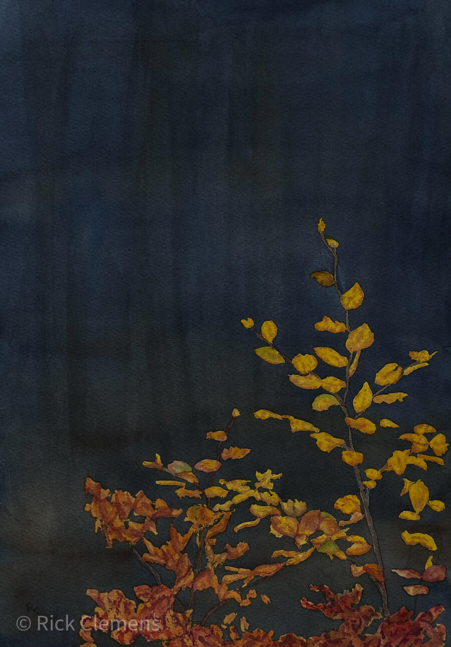 Autumn Fire "Autumn Fire" – original watercolor painting of golden and rust-colored autumn leaves against a deep dark blue background, by Rick Clemens