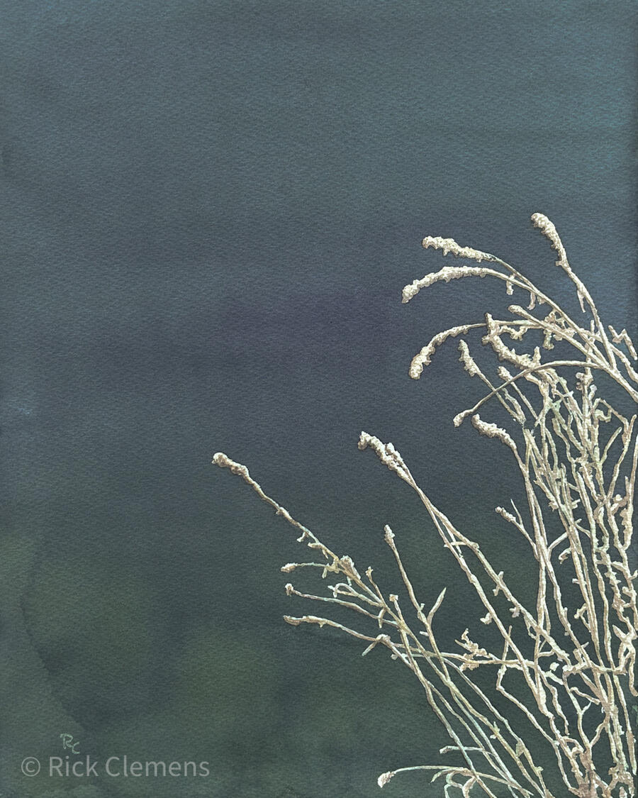 Winter Sage "Winter Sage” – original watercolor painting of dried blue sage branches against a deep teal and slate blue background, by Rick Clemens